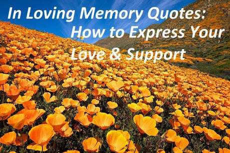 In Loving Memory Quotes: How to Express Your Love & Support